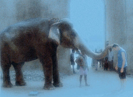 Inde 2001 - Temple indou